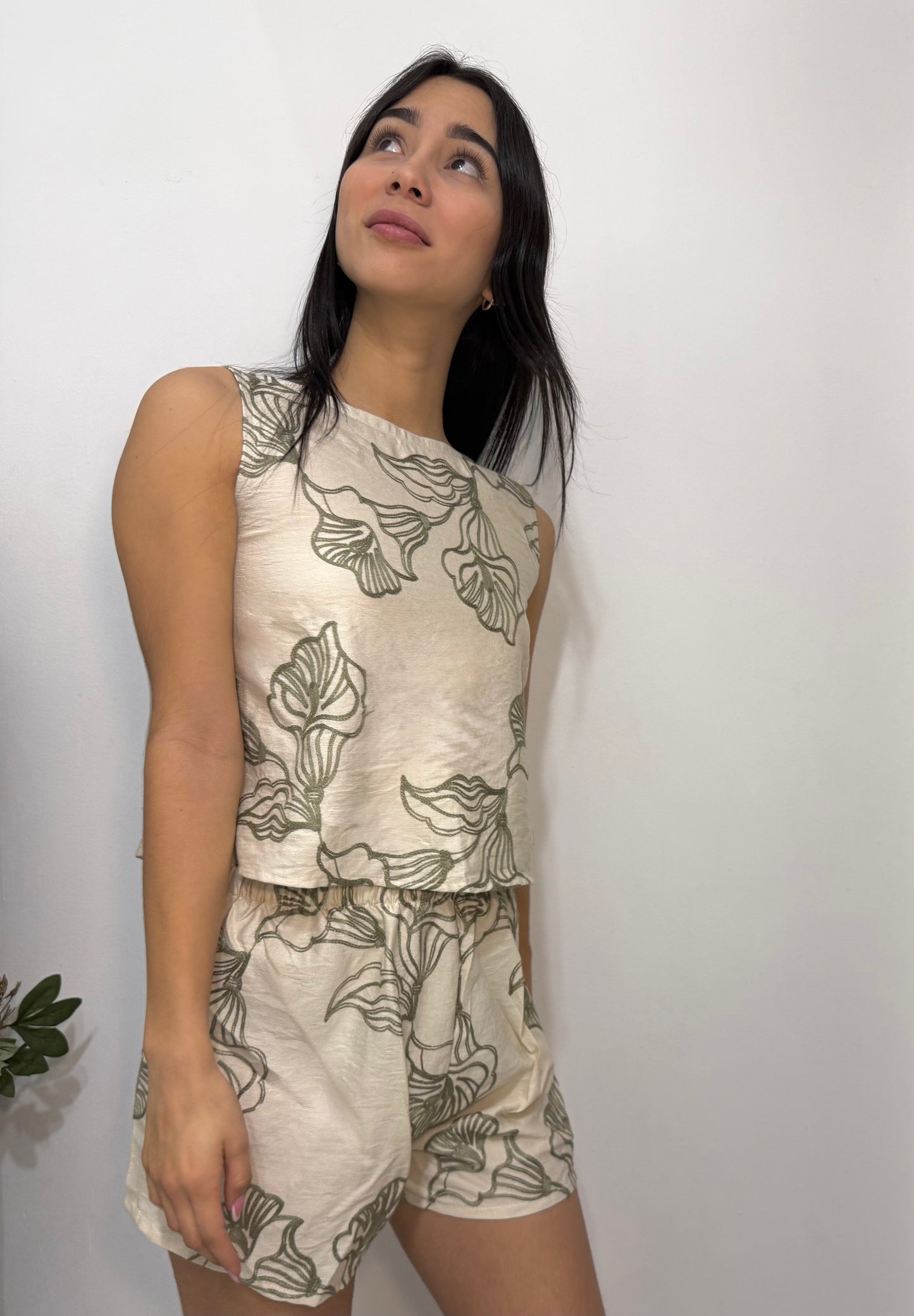 aire compartido conjunto