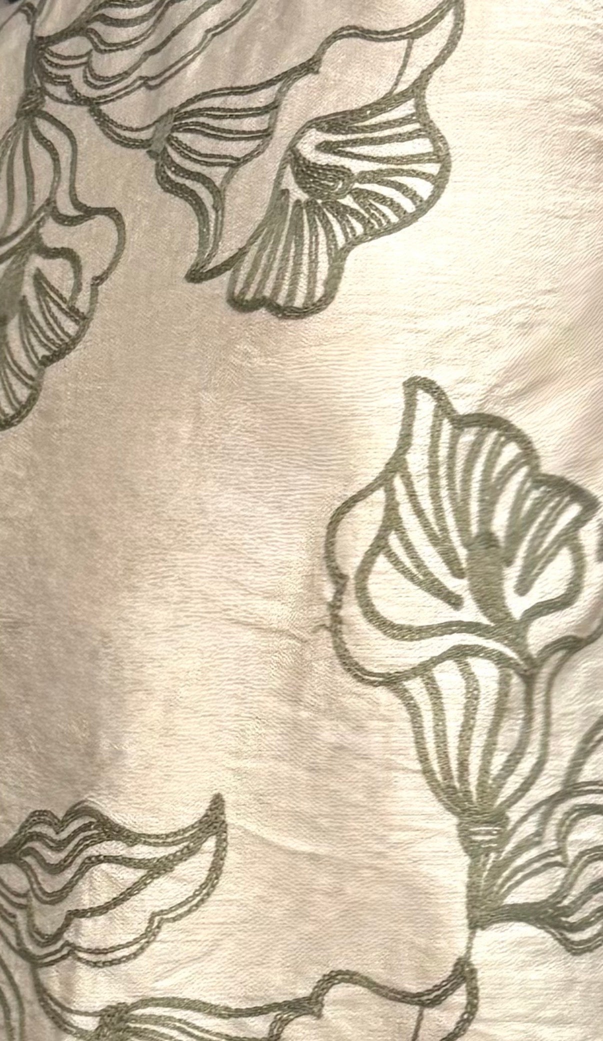 aire compartido conjunto